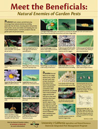 Natural Enemies of Plant Pests poster