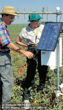 Chuck Rivara and Janet Anderson examine weather station in tomato field.