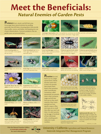 biological control resources 