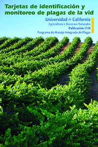 Vineyard Pest Identification in Spanish