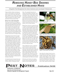 Removing Honey Bee Swarms and Established Hives 