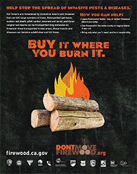 Don't move firewood: buy it where you burn it.