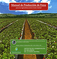 New Strawberry Production Manual in Spanish 