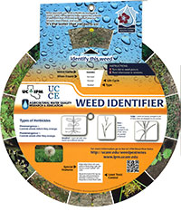 New Weed Identifier