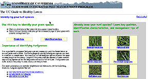 Illustration of healthy lawns Web site