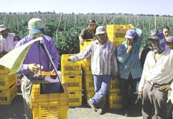 Photo of Mexican workers in train-the-trainer collaboration