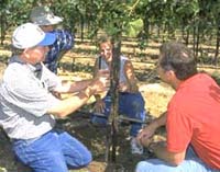 Photo of Walt Bentley in vineyard