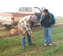 Weed management can mitigate environmental pollution and resource conservation