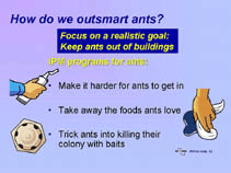 IPM-based tool on ants, how to outsmart them