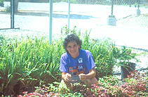 UC IPM advisor Cheryl Wilenin nursery