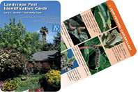 Landscape ID Cards