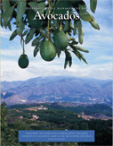 Photo of cover of the book, Integrated Pest Management for Avocado.