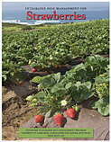 Strawberry manual