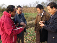 UC Statewide IPM Advisor Anil Shrestha shows Chinese government officials how to identify weeds in Feidong County , a county in Anhui province, south China. 