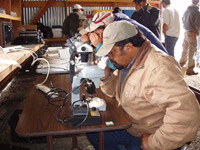 Salvador Gil and other vineyard supervisors examine vine mealybugs under the microscope