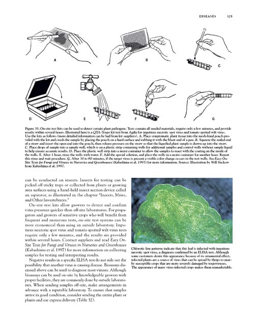 Photo of page 125 from Integrated Pest Management for Floriculture and Nurseries