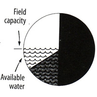 Calculating soil capacity for irrigation