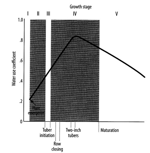 Water use curve for potatoes