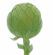 Artichoke