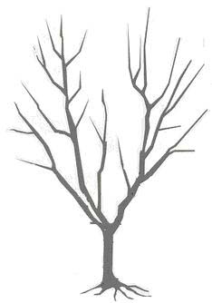 A vase-shaped open center tier