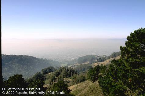 Hazy air (smog) caused by aerosols and nitrogen oxide pollution.