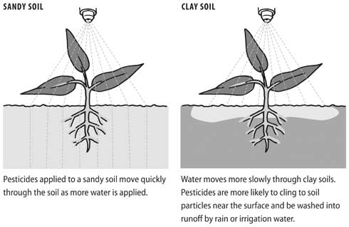 Soil type and herbicide characteristics affect pesticide movement, effectiveness, and the risk of causing problems, so the label for some preemergence herbicides specifies different application rates according to soil type. In comparison with clay soils, less herbicide sticks to sand particles, so more of the herbicide can contact weed seedling roots and be effective at lower rates. Sandy soils also pose a higher risk that excess chemical will leach downward, so a lower rate reduces the risk of polluting groundwater. Herbicide dissolved in water or bound to soil silt can move in runoff water and damage desirable plants along the drainage path or pollute waterways.