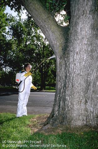 Pesticide application.