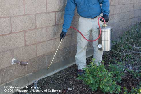 Man spraying the exterior of a building with a long, thin nozzle.