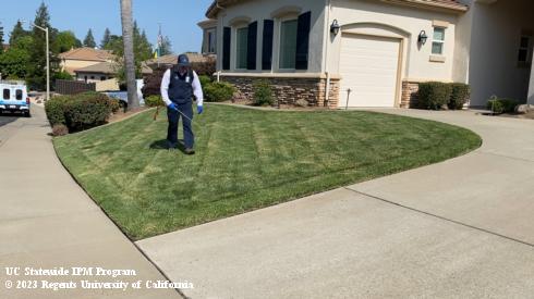 Person spraying a lawn with a pesticide. 