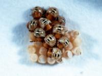 Several newly hatched, round green stink bug nymphs on top of cream egg casings on a white background, with rust brown heads, light brown and white wavy stripes, and two black markings on the back.