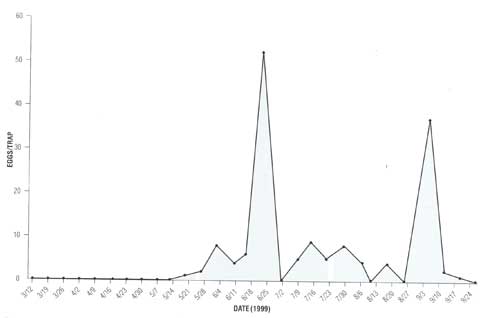 Graph of navel orangeworm egg trap catches. Egg laying for navel orangeworm brood typically begins after April 10 and is characterized by a definite increasing trend in egg laying.