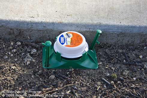 A prepackaged ant bait station containing a liquid boric acid bait.