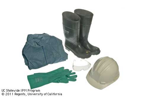 Chemical-resistant gloves and boots, protective eyewear, disposable coveralls, and protective head covering.