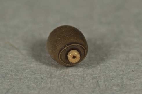 Egg and cap (operculum) of the Indian walking stick, <i>Carausius morosus</i>.