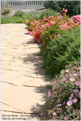 A flagstone walkway set in decomposed granite allows infiltration of rainwater and irrigation overspray.