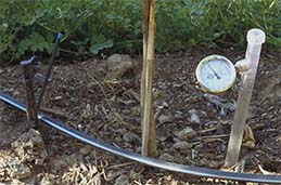 Tensiometer, a soil-moisture gauge.