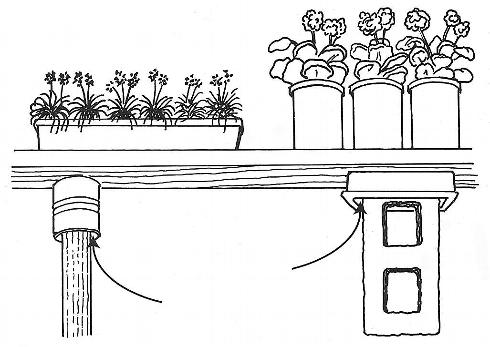 Exclude ants, certain weevils, slugs, snails, and certain other flightless pests by applying commercially available sticky material on bench legs. Where indicated by the arrows coat the inside of containers inverted over the top of the legs or blocks on which bench tops rest. Coating the containers keeps sticky material out of the way and keeps it from collecting debris or becoming fouled.