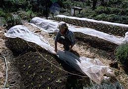 Use covers to protect young plants