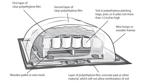 To solarize soil in containers, place soil in buckets or bags on an elevated surface and cover with a double tent of two layers of clear polyethylene film.