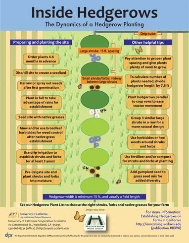 Inside hedgerows, key steps in designing and establishing hedgerows on farms in California. Download the PDF. http://www.ipm.ucdavis.edu//PDF/MISC/Hedgerows_Inside.pdf.