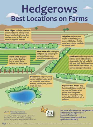 Hedgerows, the best locations for establishing hedgerows on farms in California. Download the PDF. http://www.ipm.ucdavis.edu//PDF/MISC/Hedgerows_Best_Locations_on_Farms.pdf.