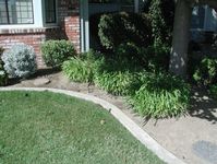 Mowing strips can prevent weeds from moving into other areas.