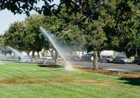 Adjust your irrigation system to get water where it?s needed. Photo by Laurence R. Costello, UCCE San Francisco-San Mateo.