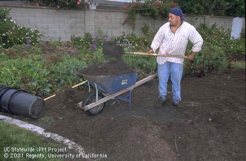 Worker handling organic compost mulch.