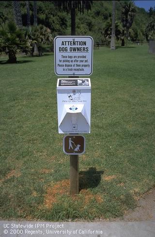 Grass around a sign post killed by domestic dog urine.