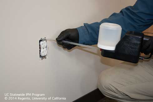 Insecticidal dust is blown into wall voids around electrical outlets using a small electric dust blower.