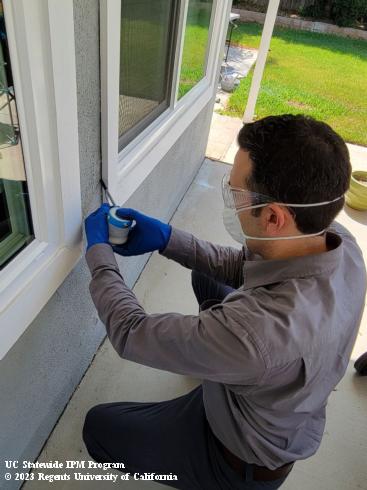 Dust application into cracks and crevices using a hand bellows duster. 