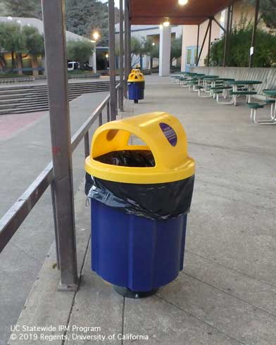 Garbage cans in public outdoor spaces can be mounted on pedestals to prevent access by cockroaches.