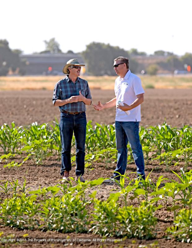 Two men talking in weedy plot of field.