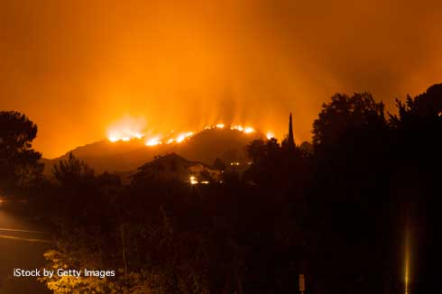 Wildland fire burning during the night on hills above a residential neighborhood.